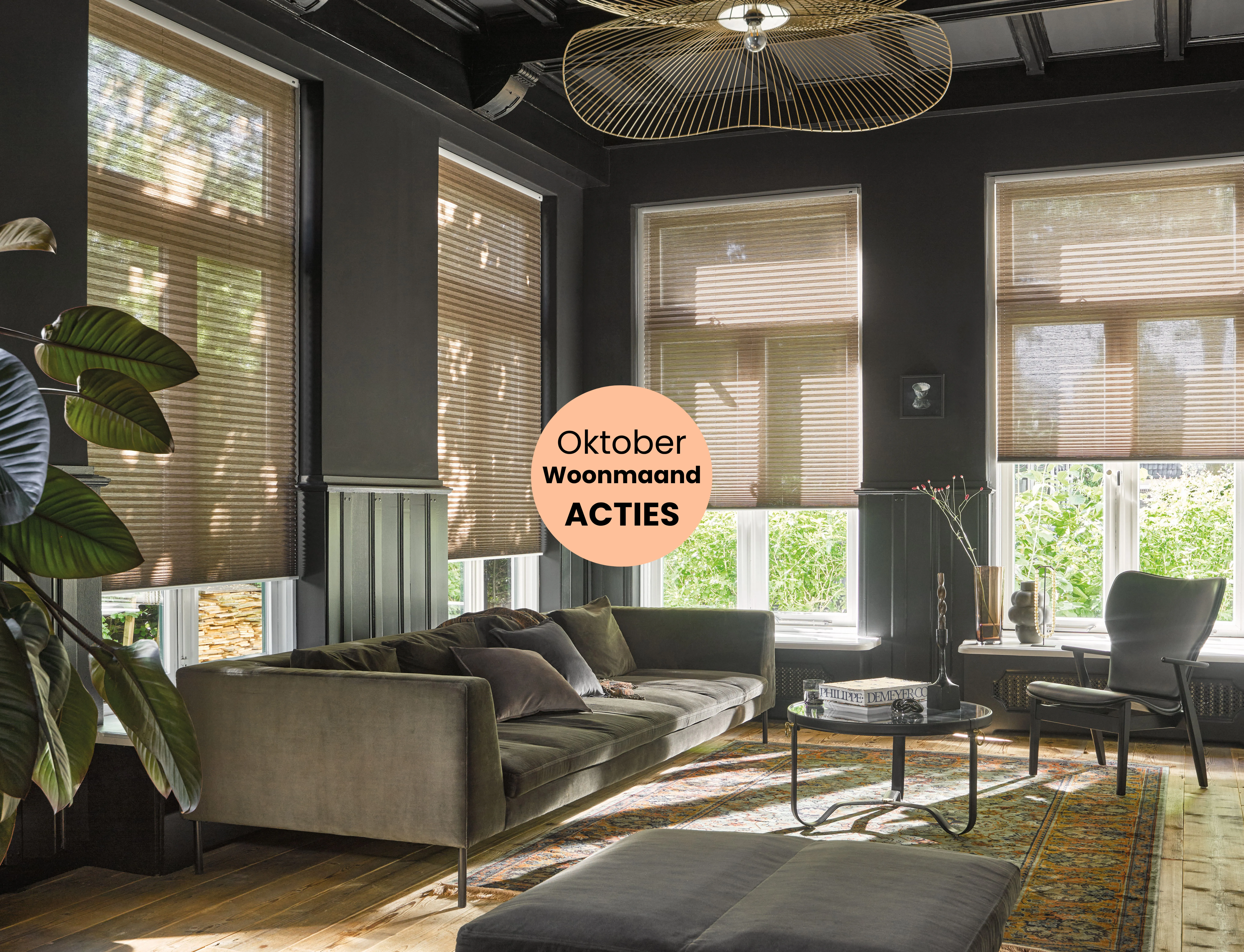 Oktober Woonmaand: Luxaflex® Duette® of Plissé Shades – de 4e gratis! Oktober Woonmaand: Luxaflex® Duette® of Plissé Shades – de 4e gratis!